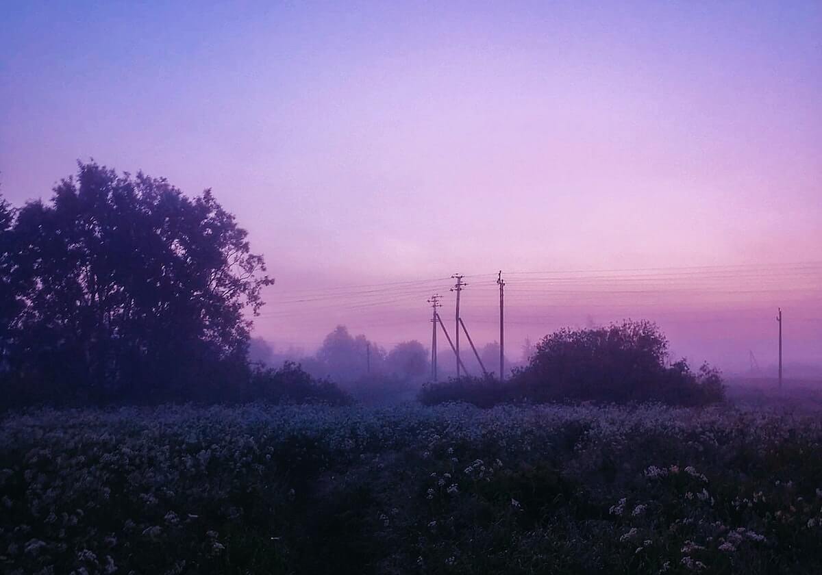 商品购买进行商城购买